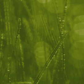 Класи енергоефективності – A, B, C