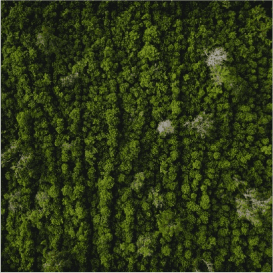 Високий ККД з мінімальним впливом довкілля.