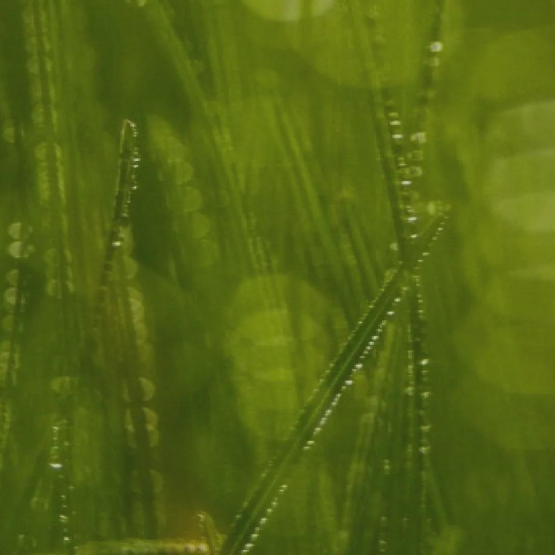 Класи енерго- ефективності: A, B, C